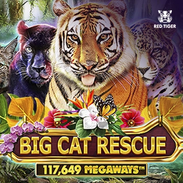 Big Cat Rescue Megaways - BETPLAY138