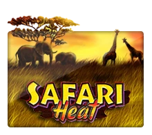 Safari Heat - BETPLAY138