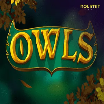 Owls - BETPLAY138