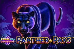 Panther Pays Power Play Jackpot - BETPLAY138