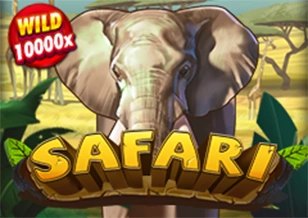AFB : Safari - BETPLAY138