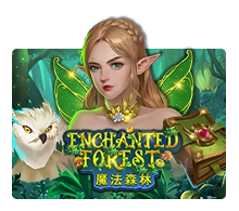 Enchanted Forest - BETPLAY138
