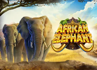 African Elephant - BETPLAY138